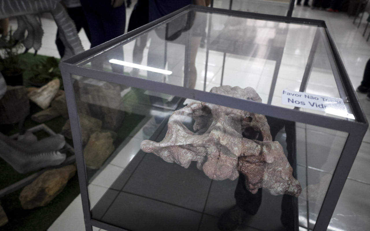 Museu Daniel Cargnin