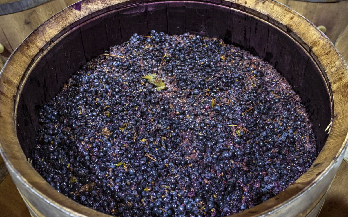 Roteiro Empresas e Vinícola 1 dia