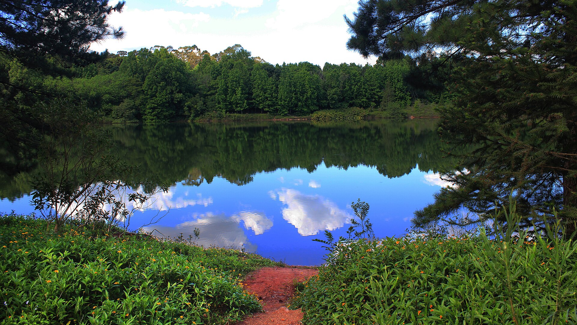 Parque Witeck